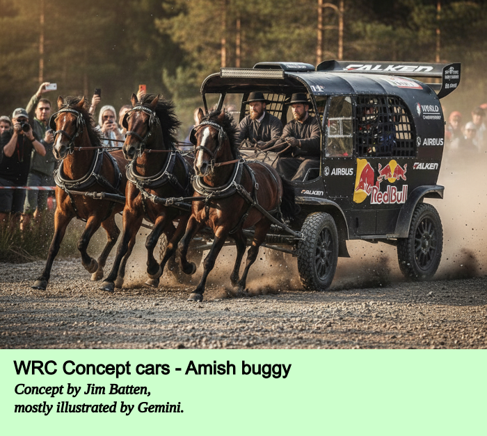 WRC Amish concept